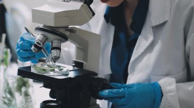 Laboratuvarda mikroskopla çalışan bilim adamı.