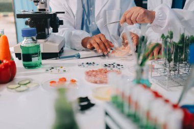 Laboratuvardaki Asyalı bilim adamları mikroskop ve laboratuvar ekipmanları kullanarak gıda araştırmaları yapıyor, gıda bilimi ve biyoteknoloji alanında yenilikler sergiliyorlar.