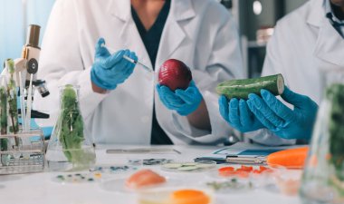 Laboratuvardaki Asyalı bilim adamları mikroskop ve laboratuvar ekipmanları kullanarak gıda araştırmaları yapıyor, gıda bilimi ve biyoteknoloji alanında yenilikler sergiliyorlar.