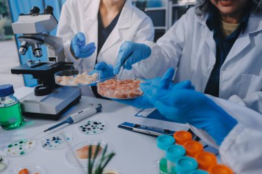 Laboratuvardaki Asyalı bilim adamları mikroskop ve laboratuvar ekipmanları kullanarak gıda araştırmaları yapıyor, gıda bilimi ve biyoteknoloji alanında yenilikler sergiliyorlar.