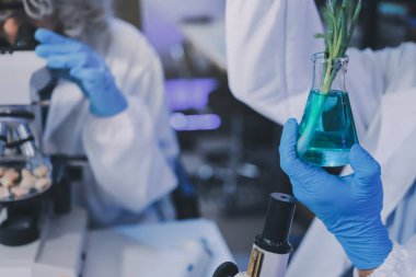 Laboratuvardaki Asyalı bilim adamları mikroskop ve laboratuvar ekipmanları kullanarak gıda araştırmaları yapıyor, gıda bilimi ve biyoteknoloji alanında yenilikler sergiliyorlar.