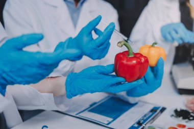 Laboratuvardaki Asyalı bilim adamları mikroskop ve laboratuvar ekipmanları kullanarak gıda araştırmaları yapıyor, gıda bilimi ve biyoteknoloji alanında yenilikler sergiliyorlar.