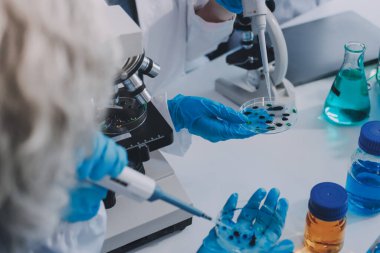 Laboratuvardaki kimyagerler kozmetik ürünler geliştiriyor, kalite ve etkinlik için formülleri test ediyor ve analiz ediyorlar..