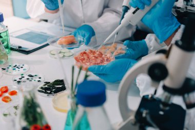 Laboratuvardaki Asyalı bilim adamları mikroskop ve laboratuvar ekipmanları kullanarak gıda araştırmaları yapıyor, gıda bilimi ve biyoteknoloji alanında yenilikler sergiliyorlar.