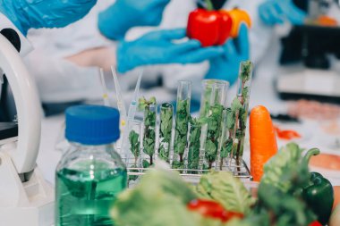 Laboratuvardaki Asyalı bilim adamları mikroskop ve laboratuvar ekipmanları kullanarak gıda araştırmaları yapıyor, gıda bilimi ve biyoteknoloji alanında yenilikler sergiliyorlar.