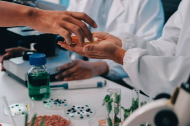 Laboratuvardaki Asyalı bilim adamları mikroskop ve laboratuvar ekipmanları kullanarak gıda araştırmaları yapıyor, gıda bilimi ve biyoteknoloji alanında yenilikler sergiliyorlar.