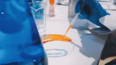 Laboratuvarda test tüplü laboratuvar asistanı.