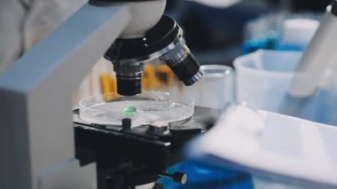 Koruyucu eldivenli laboratuvar çalışanı bir laboratuarda çalışıyor. Kapat..