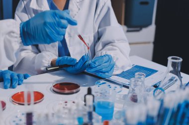 Profesyonel mikroskop kullanan bir araştırmacı.