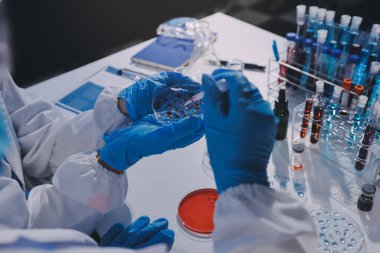 Profesyonel mikroskop kullanan bir araştırmacı.