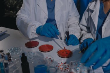 Profesyonel mikroskop kullanan bir araştırmacı.