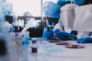 Profesyonel mikroskop kullanan bir araştırmacı.