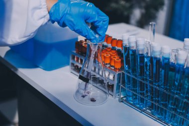 Profesyonel mikroskop kullanan bir araştırmacı.