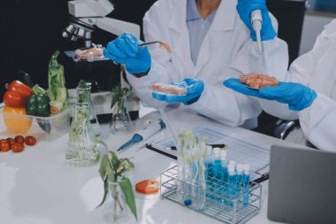 Yiyecek Tedarik Kimya Laboratuvarı. Laboratuvarda yiyecek, DNA modifiye edildi. Laboratuvarda genetik olarak değiştirilmiş gıdalar.