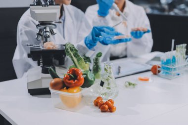 Yiyecek Tedarik Kimya Laboratuvarı. Laboratuvarda yiyecek, DNA modifiye edildi. Laboratuvarda genetik olarak değiştirilmiş gıdalar.