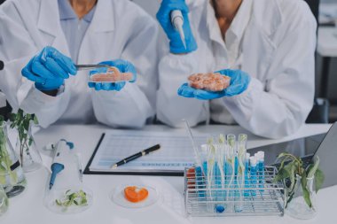 Yiyecek Tedarik Kimya Laboratuvarı. Laboratuvarda yiyecek, DNA modifiye edildi. Laboratuvarda genetik olarak değiştirilmiş gıdalar.