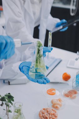 Yiyecek Tedarik Kimya Laboratuvarı. Laboratuvarda yiyecek, DNA modifiye edildi. Laboratuvarda genetik olarak değiştirilmiş gıdalar.