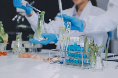 Yiyecek Tedarik Kimya Laboratuvarı. Laboratuvarda yiyecek, DNA modifiye edildi. Laboratuvarda genetik olarak değiştirilmiş gıdalar.