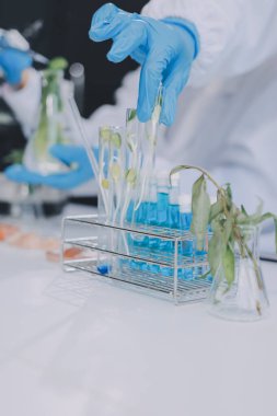 Yiyecek Tedarik Kimya Laboratuvarı. Laboratuvarda yiyecek, DNA modifiye edildi. Laboratuvarda genetik olarak değiştirilmiş gıdalar.