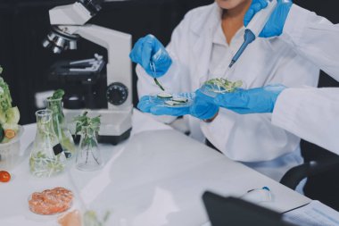 Yiyecek Tedarik Kimya Laboratuvarı. Laboratuvarda yiyecek, DNA modifiye edildi. Laboratuvarda genetik olarak değiştirilmiş gıdalar.