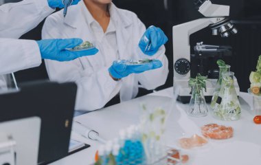 Yiyecek Tedarik Kimya Laboratuvarı. Laboratuvarda yiyecek, DNA modifiye edildi. Laboratuvarda genetik olarak değiştirilmiş gıdalar.