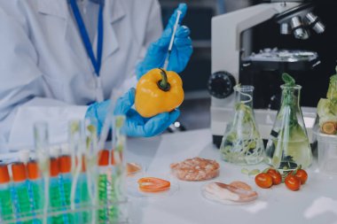 Yiyecek Tedarik Kimya Laboratuvarı. Laboratuvarda yiyecek, DNA modifiye edildi. Laboratuvarda genetik olarak değiştirilmiş gıdalar.