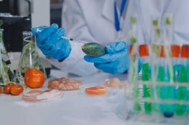 Yiyecek Tedarik Kimya Laboratuvarı. Laboratuvarda yiyecek, DNA modifiye edildi. Laboratuvarda genetik olarak değiştirilmiş gıdalar.