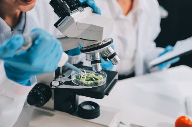 Yiyecek Tedarik Kimya Laboratuvarı. Laboratuvarda yiyecek, DNA modifiye edildi. Laboratuvarda genetik olarak değiştirilmiş gıdalar.