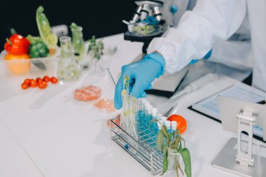 Yiyecek Tedarik Kimya Laboratuvarı. Laboratuvarda yiyecek, DNA modifiye edildi. Laboratuvarda genetik olarak değiştirilmiş gıdalar.