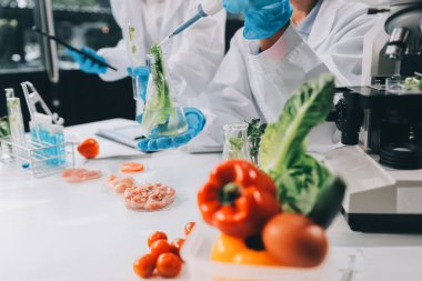 Yiyecek Tedarik Kimya Laboratuvarı. Laboratuvarda yiyecek, DNA modifiye edildi. Laboratuvarda genetik olarak değiştirilmiş gıdalar.