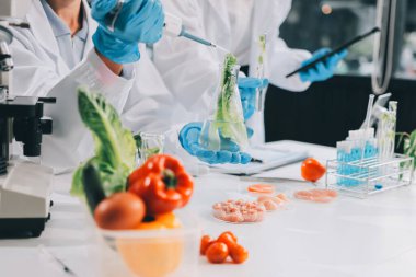 Yiyecek Tedarik Kimya Laboratuvarı. Laboratuvarda yiyecek, DNA modifiye edildi. Laboratuvarda genetik olarak değiştirilmiş gıdalar.