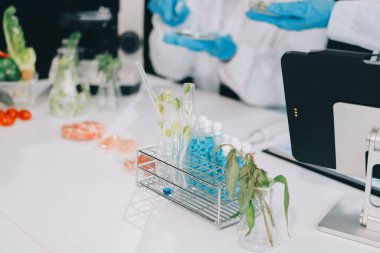Yiyecek Tedarik Kimya Laboratuvarı. Laboratuvarda yiyecek, DNA modifiye edildi. Laboratuvarda genetik olarak değiştirilmiş gıdalar.