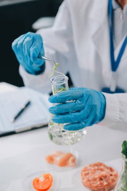 Yiyecek Tedarik Kimya Laboratuvarı. Laboratuvarda yiyecek, DNA modifiye edildi. Laboratuvarda genetik olarak değiştirilmiş gıdalar.