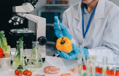 Yiyecek Tedarik Kimya Laboratuvarı. Laboratuvarda yiyecek, DNA modifiye edildi. Laboratuvarda genetik olarak değiştirilmiş gıdalar.