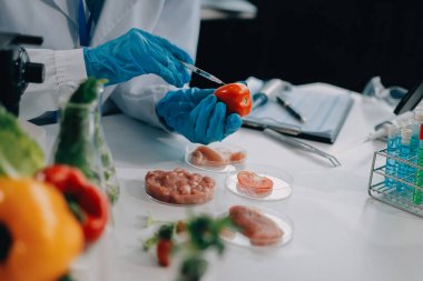 Yiyecek Tedarik Kimya Laboratuvarı. Laboratuvarda yiyecek, DNA modifiye edildi. Laboratuvarda genetik olarak değiştirilmiş gıdalar.