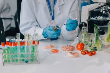 Yiyecek Tedarik Kimya Laboratuvarı. Laboratuvarda yiyecek, DNA modifiye edildi. Laboratuvarda genetik olarak değiştirilmiş gıdalar.