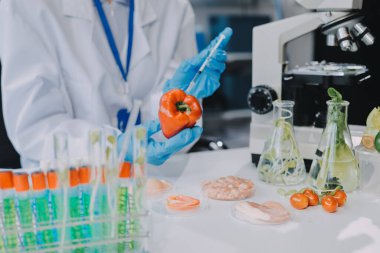 Yiyecek Tedarik Kimya Laboratuvarı. Laboratuvarda yiyecek, DNA modifiye edildi. Laboratuvarda genetik olarak değiştirilmiş gıdalar.