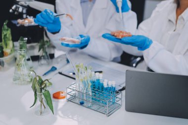 Yiyecek Tedarik Kimya Laboratuvarı. Laboratuvarda yiyecek, DNA modifiye edildi. Laboratuvarda genetik olarak değiştirilmiş gıdalar.