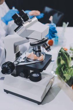 Yiyecek Tedarik Kimya Laboratuvarı. Laboratuvarda yiyecek, DNA modifiye edildi. Laboratuvarda genetik olarak değiştirilmiş gıdalar.