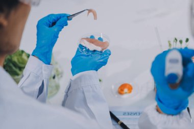 Yiyecek Tedarik Kimya Laboratuvarı. Laboratuvarda yiyecek, DNA modifiye edildi. Laboratuvarda genetik olarak değiştirilmiş gıdalar.