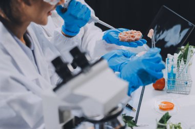 Yiyecek Tedarik Kimya Laboratuvarı. Laboratuvarda yiyecek, DNA modifiye edildi. Laboratuvarda genetik olarak değiştirilmiş gıdalar.