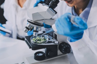 Yiyecek Tedarik Kimya Laboratuvarı. Laboratuvarda yiyecek, DNA modifiye edildi. Laboratuvarda genetik olarak değiştirilmiş gıdalar.