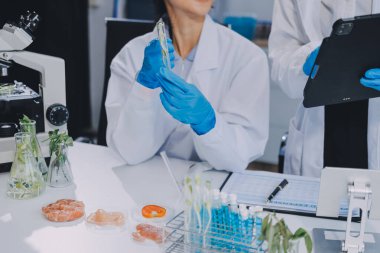 Yiyecek Tedarik Kimya Laboratuvarı. Laboratuvarda yiyecek, DNA modifiye edildi. Laboratuvarda genetik olarak değiştirilmiş gıdalar.