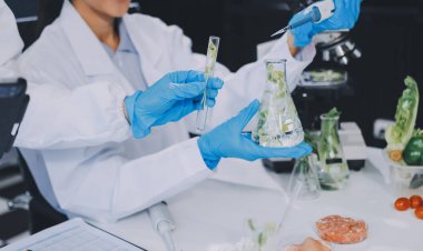 Yiyecek Tedarik Kimya Laboratuvarı. Laboratuvarda yiyecek, DNA modifiye edildi. Laboratuvarda genetik olarak değiştirilmiş gıdalar.