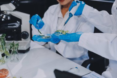 Yiyecek Tedarik Kimya Laboratuvarı. Laboratuvarda yiyecek, DNA modifiye edildi. Laboratuvarda genetik olarak değiştirilmiş gıdalar.