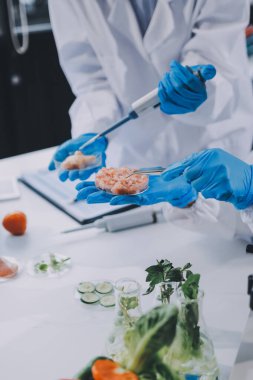 Yiyecek Tedarik Kimya Laboratuvarı. Laboratuvarda yiyecek, DNA modifiye edildi. Laboratuvarda genetik olarak değiştirilmiş gıdalar.