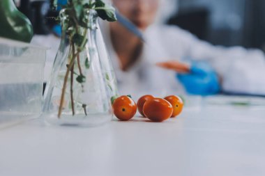 Yiyecek Tedarik Kimya Laboratuvarı. Laboratuvarda yiyecek, DNA modifiye edildi. Laboratuvarda genetik olarak değiştirilmiş gıdalar.