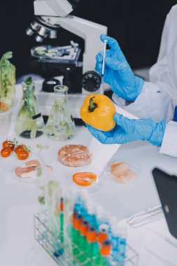 Yiyecek Tedarik Kimya Laboratuvarı. Laboratuvarda yiyecek, DNA modifiye edildi. Laboratuvarda genetik olarak değiştirilmiş gıdalar.