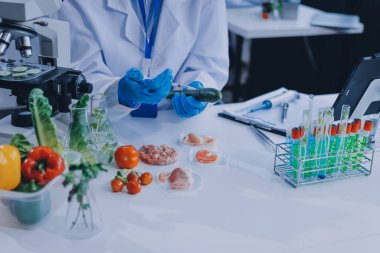 Yiyecek Tedarik Kimya Laboratuvarı. Laboratuvarda yiyecek, DNA modifiye edildi. Laboratuvarda genetik olarak değiştirilmiş gıdalar.