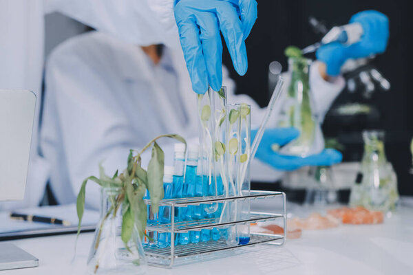 Chemical Laboratory of the Food supply . Food in laboratory, dna modify .GMO Genetically modified food in lab